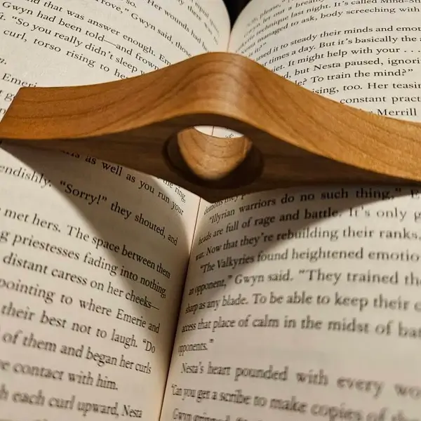 bague de lecture bois